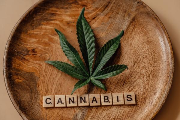 Medizinische Verwendung von Cannabis