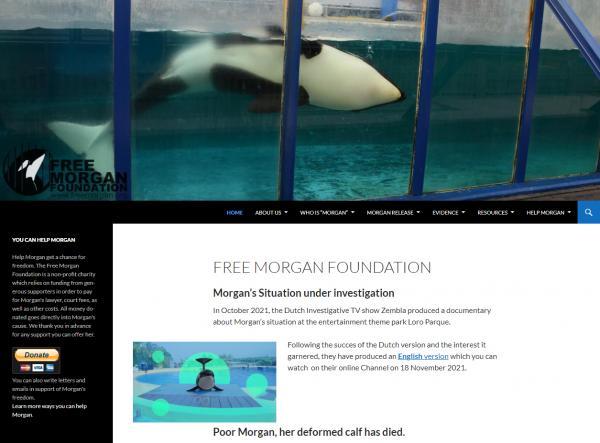 Die Free Morgan Foundation: Für die Rechte und Freiheit von Orcas