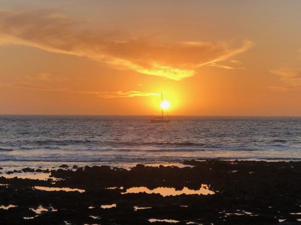 Zwischen Himmel und Meer: Ein poetischer Tagesausflug auf Teneriffa